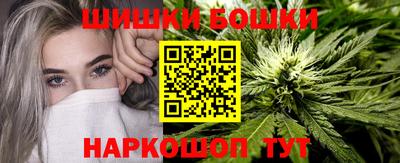 тгк Будённовск