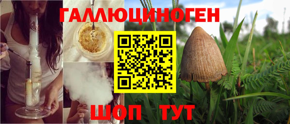 Псилоцибиновые грибы прущие грибы Саров