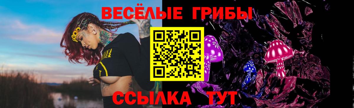 Псилоцибиновые грибы GOLDEN TEACHER  Вход с VPN  Саров  закладка  Галлюциногенные грибы Cubensis 